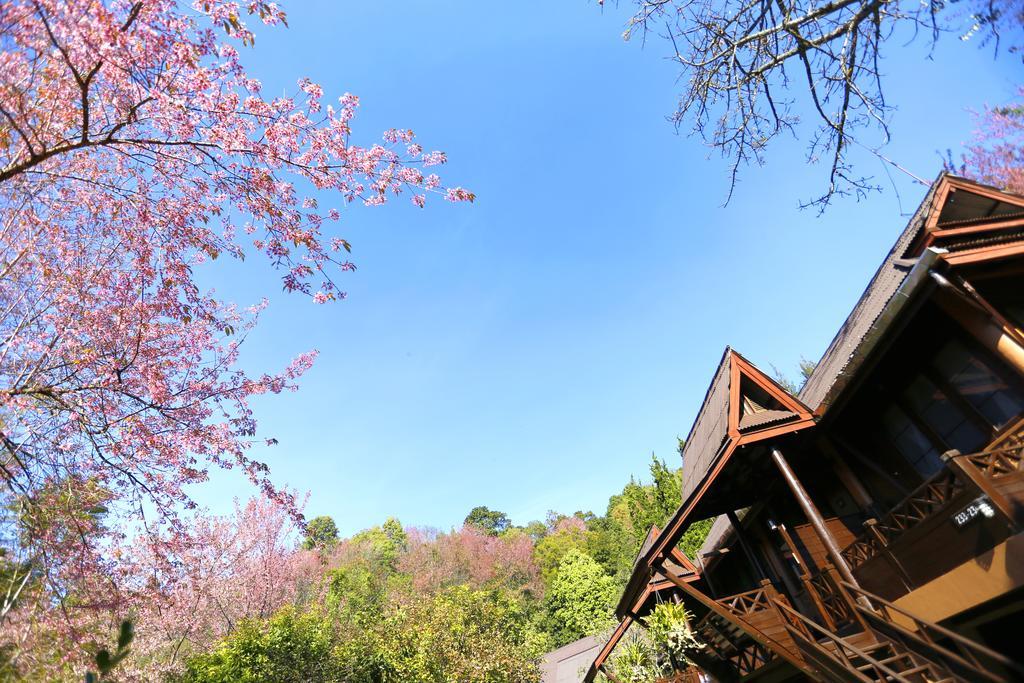 Angkhang Nature Resort Fang Eksteriør billede